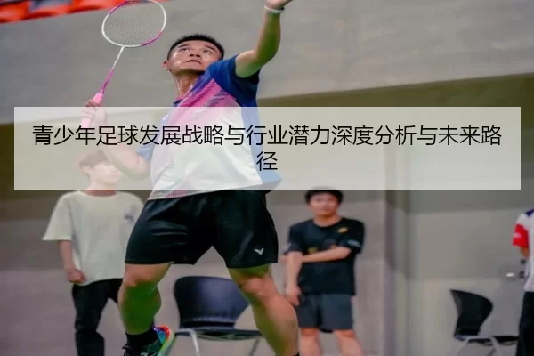 青少年足球发展战略与行业潜力深度分析与未来路径